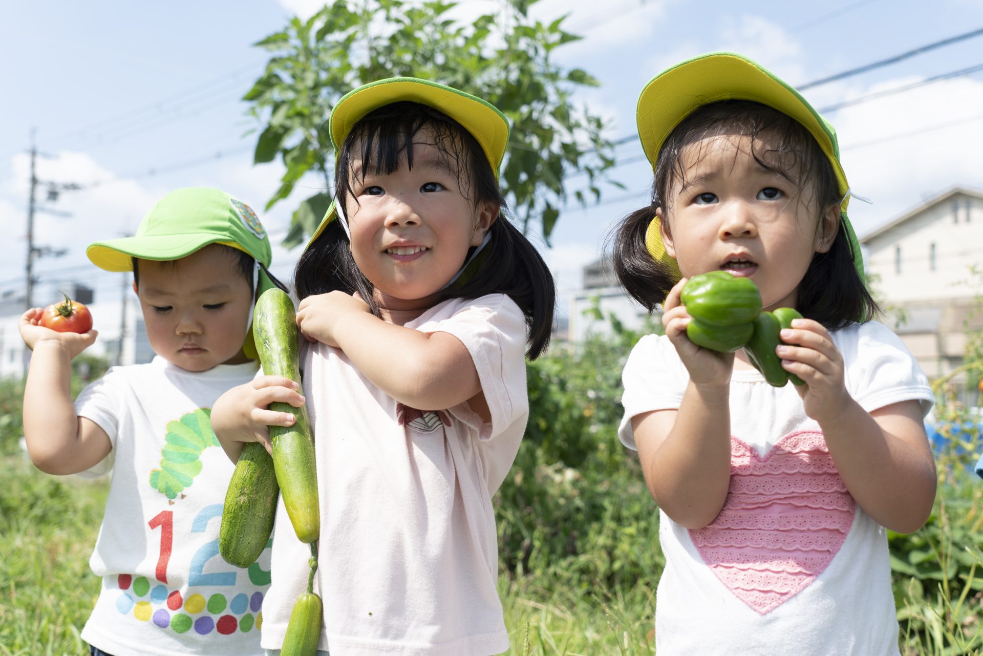 野菜を取る子供